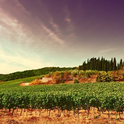 Chianti Country Side | Private tour