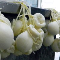formaggi-3