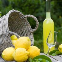 limoncello-1